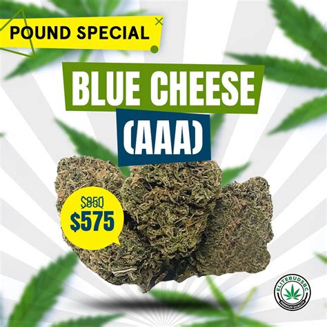 Buy Pound Special Blue Cheese Aaa Online Elite Buds Bc