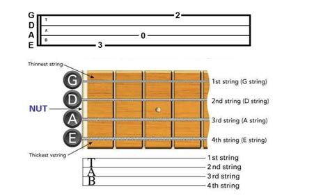 Easy Bass Tabs For Beginners Check 12 Tabs And Pro Tips Right Now Play Guitars