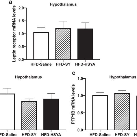 Effects Of Sy And Hsya On The Expression Of Leptin Receptor And Leptin Download Scientific