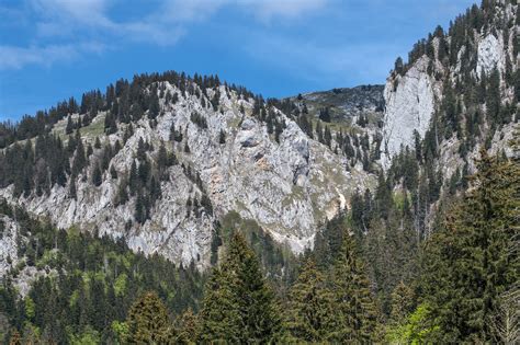 Chartreuse Au Col De La Charmette Alec B Trancourt Flickr