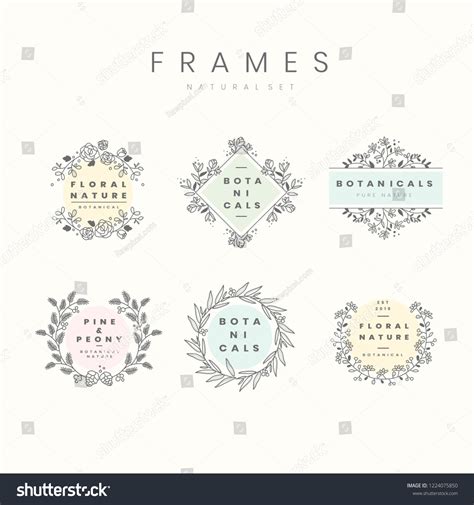 Set Botanical Frame Design Elements Vector Stock Vector Royalty Free