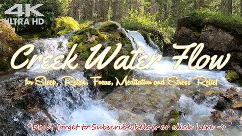 4K Creek Water Flow 8 Hrs River Flow Forest Stream Flow Nature