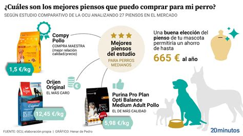 Cuanto Dinero Debo Ahorrar Para Un Perro