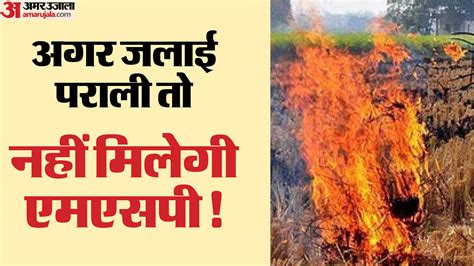 Farmers Who Burn Stubble Will Not Get Msp The Government Is Going To