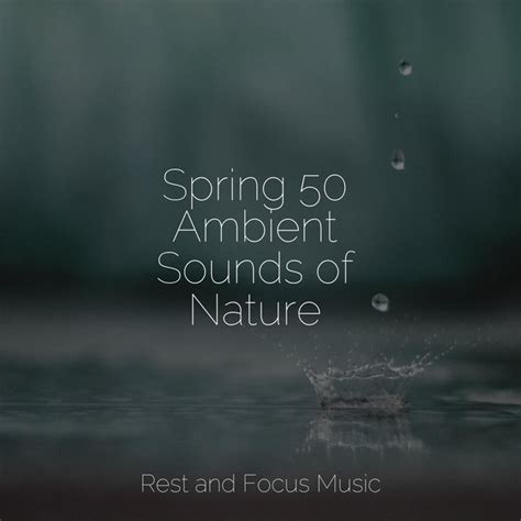 Spring Ambient Sounds Of Nature Album By Music For Absolute Sleep