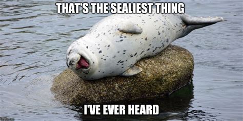 seal Memes & GIFs - Imgflip