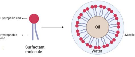 Frontiers Biosurfactant A Next Generation Tool For Sustainable