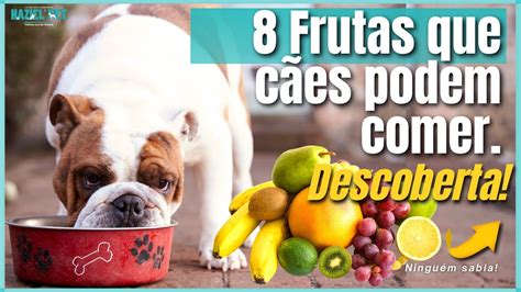 Acabou De Sair Novo Frutas Que Os Cachorros Podem Comer Youtube