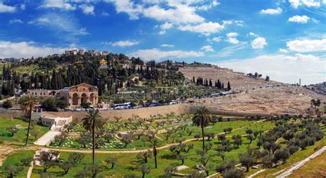 Panorama - Church Of All Nations And Mount Of Olives, Jerusalem Stock ...