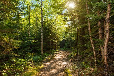 220 Fundy Trail Stock Photos Pictures And Royalty Free Images Istock