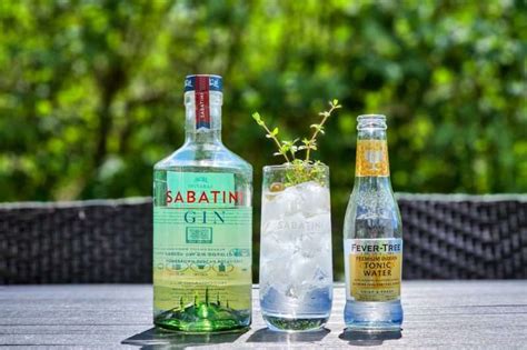 Gin Tonic Med Sabatini Gin Alt Om Gin