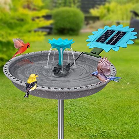 The Best Solar Powered Heated Bird Bath Keep Your Feathered Friends