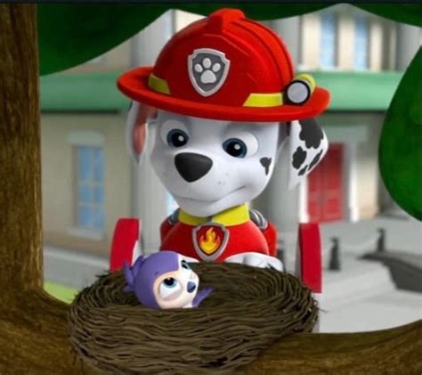 paw patrol season 5 episode 1 by Karllthorn on DeviantArt