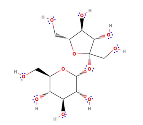 Monitoring of the Sucrose Hydrolysis Process | Free Essay Example