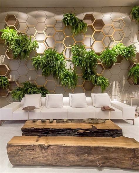 Helecho: como cuidar, tipos y 70 ideas de decoración con la planta