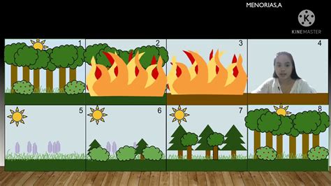 Species Interactionecological Successions And Population Control Youtube