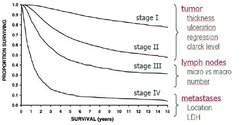 Revised Tnm Classification Of Malignant Melanoma Download Scientific