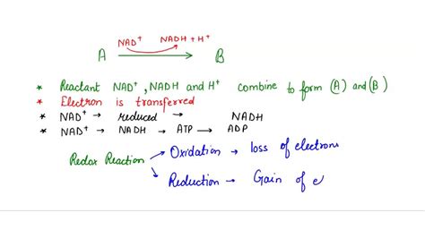 Solved Which Of The Following Statements Correctly Describes The