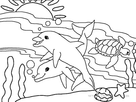 Two Dolphins And Turtle Coloring Page Free Printable Coloring Pages