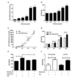 Methadone Enhanced Hiv Infection Of Macrophages Macrophages Were