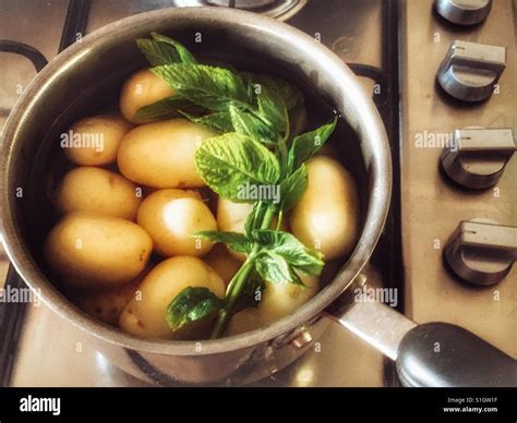 Organic British Potatoes Hi Res Stock Photography And Images Alamy