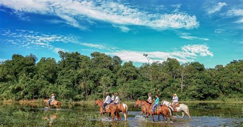 Pacote De Viagem Para Pantanal Sul Fazenda Aguapé 4 Dias