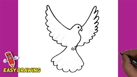 Flying Dove Easy Line Drawings How To Draw Flying Dove Step By Step