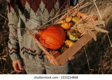 Woman Holding Wooden Box Pumpkin Squash Stock Photo 1515214868