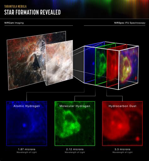 ESA - Webb captures a cosmic tarantula