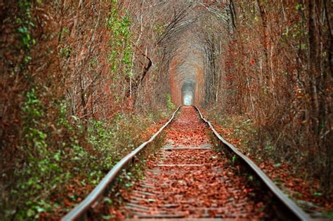 T Nel De Amor En Oto O Ferrocarril Y T Nel De Rboles Foto Premium