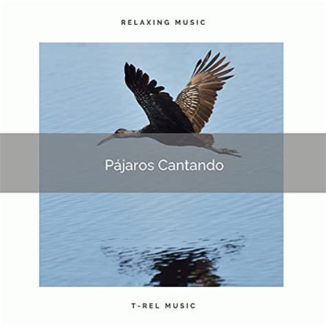 Amazon Music Sonidos De Pajaros Pajaros Del Bosque P Jaros Cantando