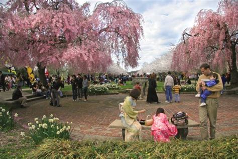 Centennial Arboretum Alchetron The Free Social Encyclopedia