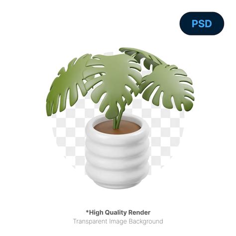 Monstera Deliciosa Ic Ne D Psd Premium Psd Premium