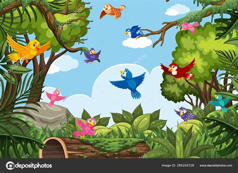 Colorful Birds In Jungle Scene Stock Vector By Brgfx