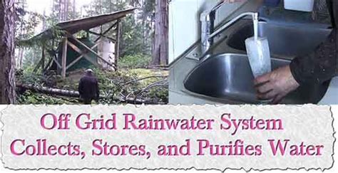 Rain Water Collection System, Rain Collection, Gardening Books ...