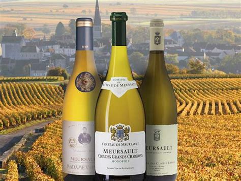 10 Most Popular French White Wines Tasteatlas