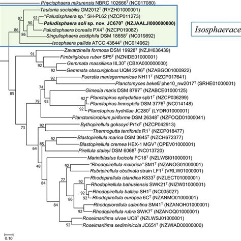 RAxML Based Phylogenomic Tree Of Strain JC670T Along With Publicly