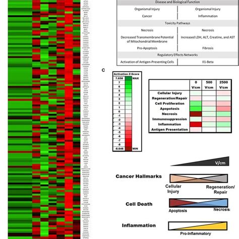 IRE Induces Patient And Dose Dependent Gene Expression Changes In PDX