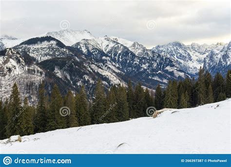 Vue Des Montagnes De Tatra De Rusinowa Polana Vue Hivernale Des Hautes