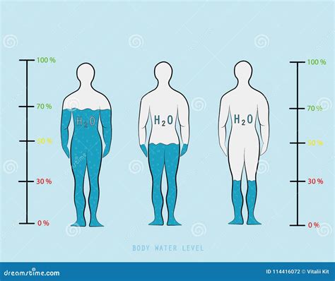 Porcentagem De Agua No Corpo Humano Sololearn