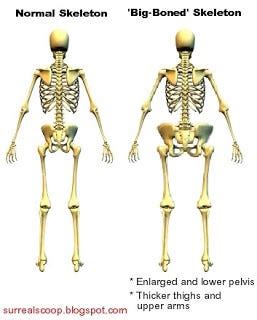 First “Big-Boned” skeleton discovered | by SurrealScoop | Medium