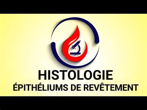 Histologie Pith Liums De Rev Tement Re M D Pharmacie Chir