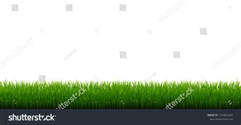 Green Grass Border Isolated White Background Stock Vector (Royalty Free ...