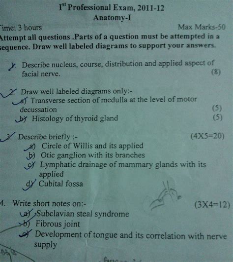 Anatomy Professional Exam Anatomy Mbbs St Year