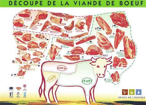 schema decoupe viande boeuf