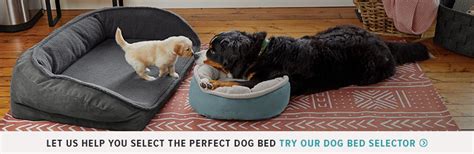 Dog Beds - Memory Foam, Toughchew, & Bolster Beds | Orvis