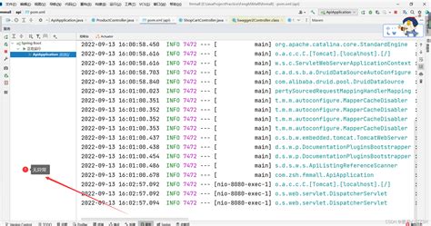 使用swagger2做测试报java lang NumberFormatException For input string 的