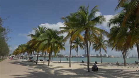 Awesome Sunset On Hawaii - Tropical Paradise. Stock Footage Video ...