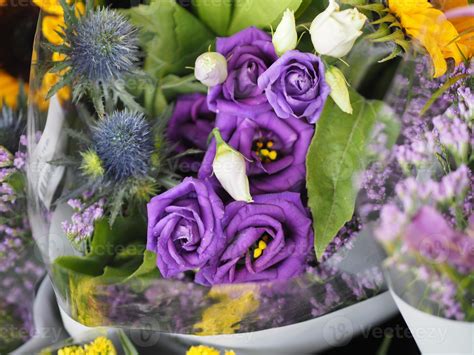 violet rose flower beautiful bouquet 10135916 Stock Photo at Vecteezy