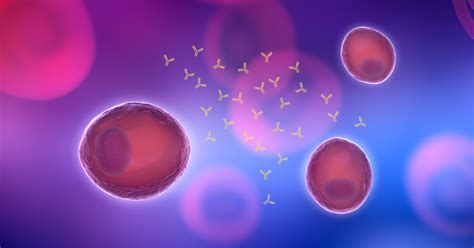 Published In Scientific Reports Understanding Antibody Secreting Cells